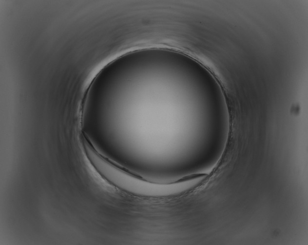 X0000090971524200708241303