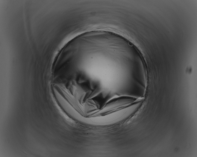 X0000090971525200708241303