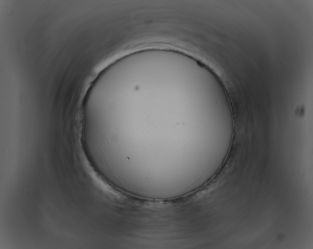 X0000090971526200708241304