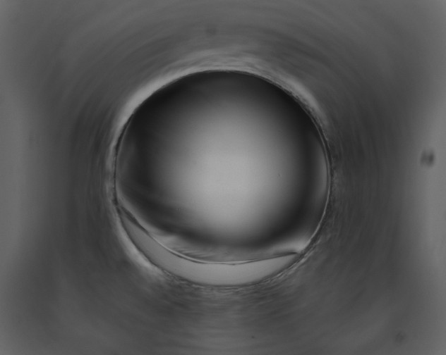 X0000090971528200708241304