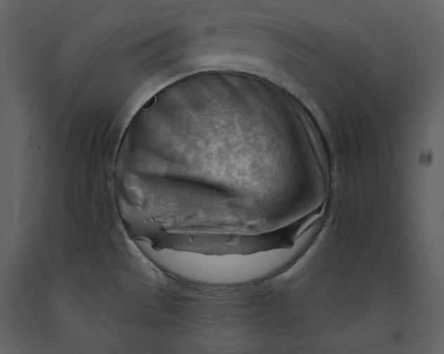 X0000090971529200708241304