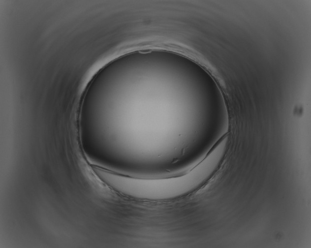 X0000090971530200708241304