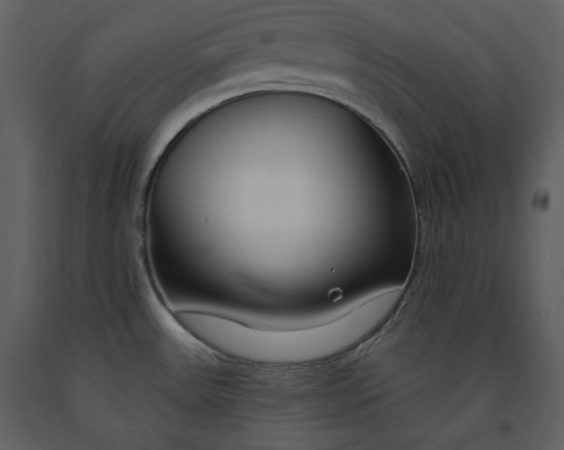 X0000090971531200708241304