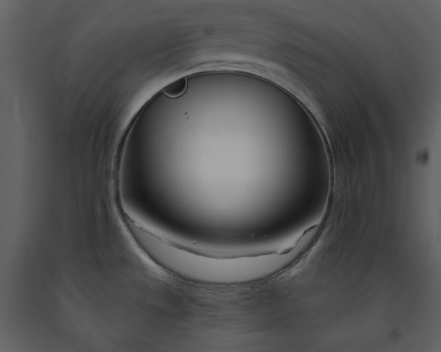 X0000090971533200708241304