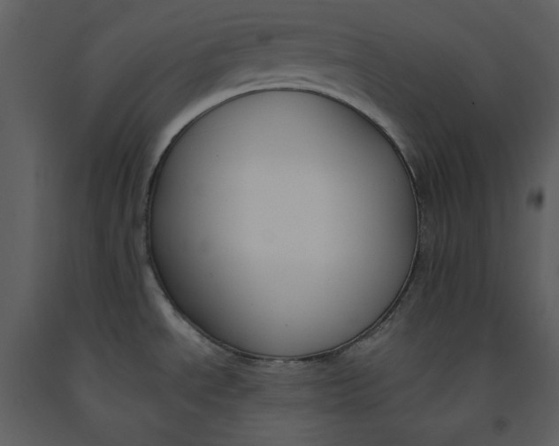 X0000090971534200708241304