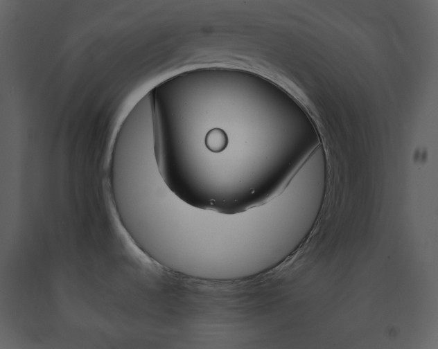 X0000090971536200708241304