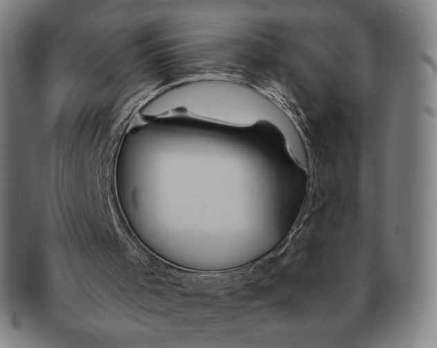 X0000090970001200708301237