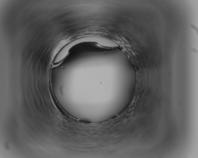 X0000090970003200708301237