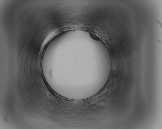 X0000090970004200708301237