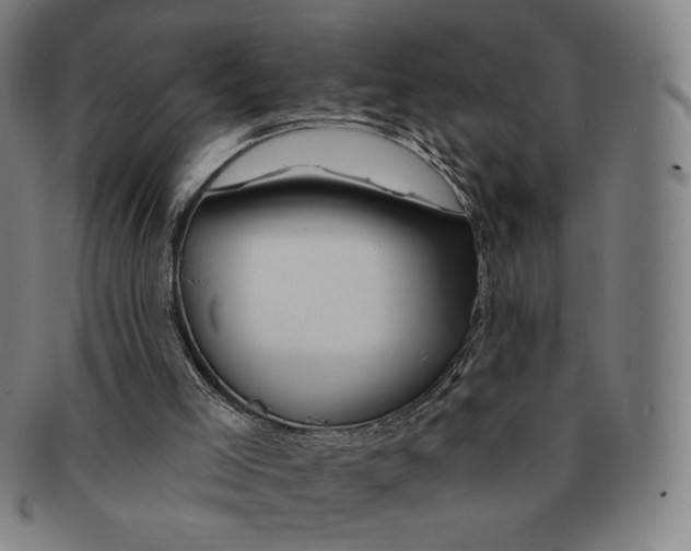 X0000090970005200708301237