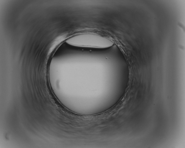 X0000090970006200708301237