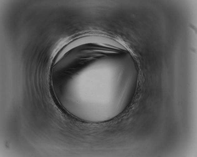 X0000090970007200708301237
