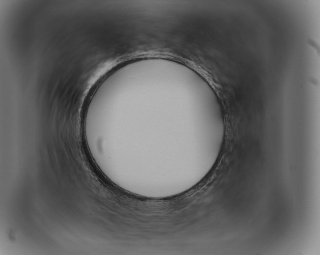 X0000090970008200708301237