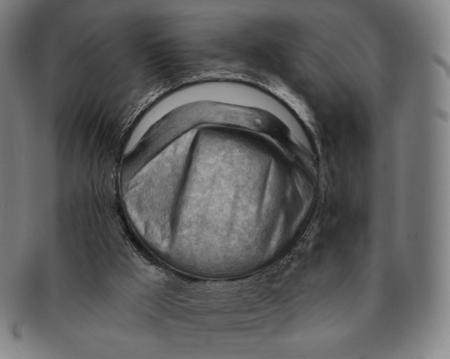 X0000090970009200708301237