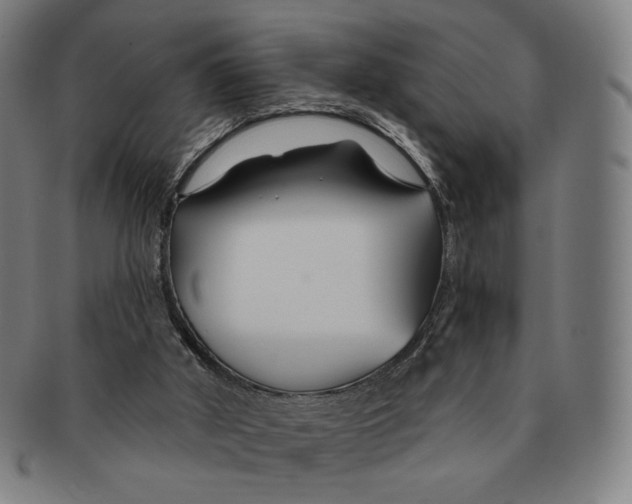 X0000090970010200708301237