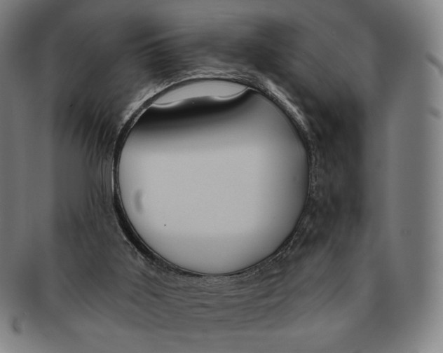 X0000090970011200708301237