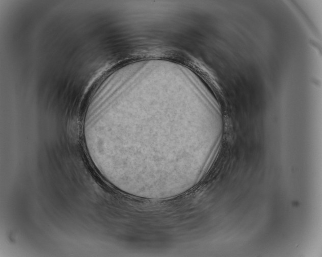 X0000090970012200708301237