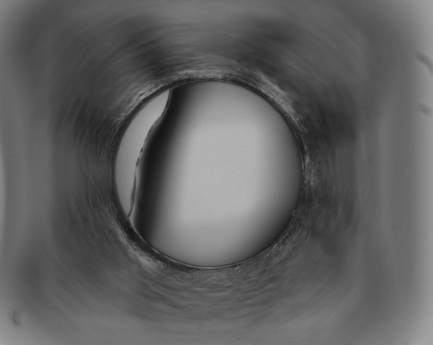 X0000090970013200708301237