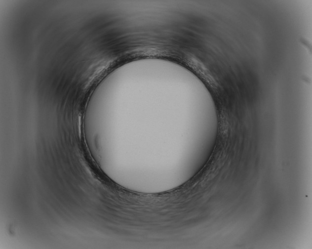 X0000090970014200708301237