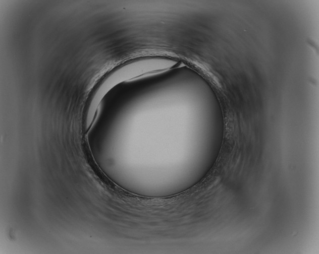 X0000090970015200708301236