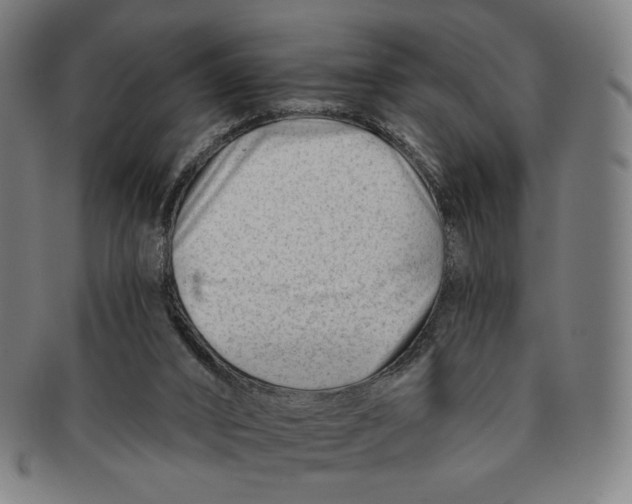 X0000090970016200708301236