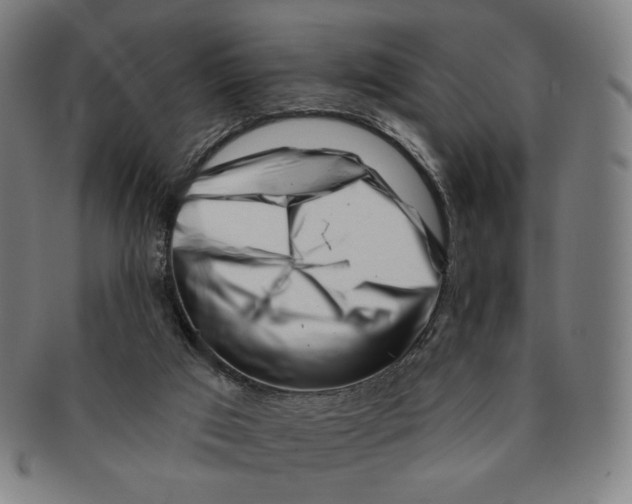 X0000090970017200708301236