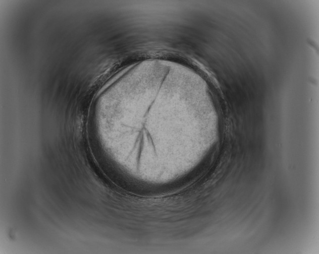 X0000090970018200708301236