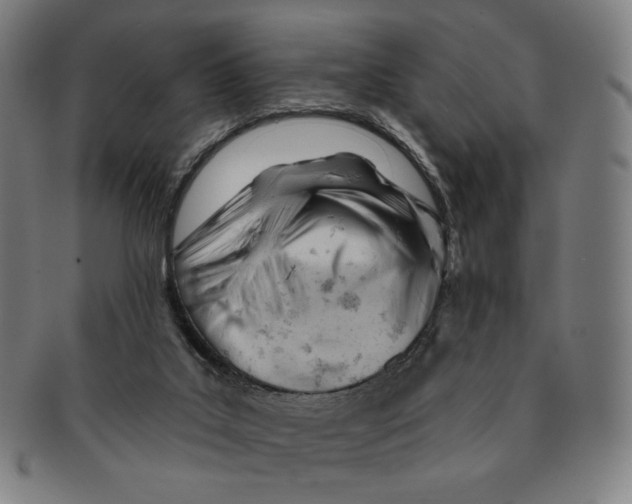 X0000090970019200708301236