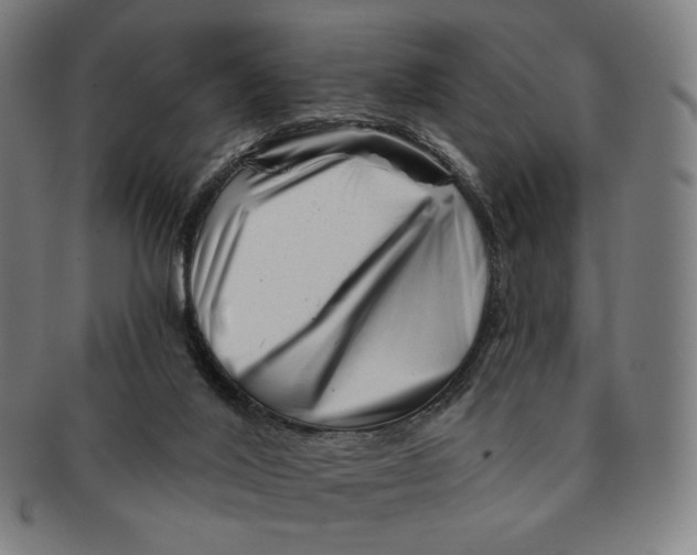 X0000090970020200708301236
