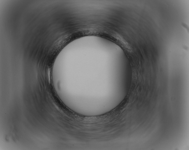 X0000090970022200708301236