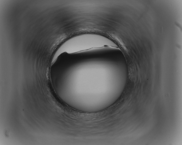 X0000090970023200708301236