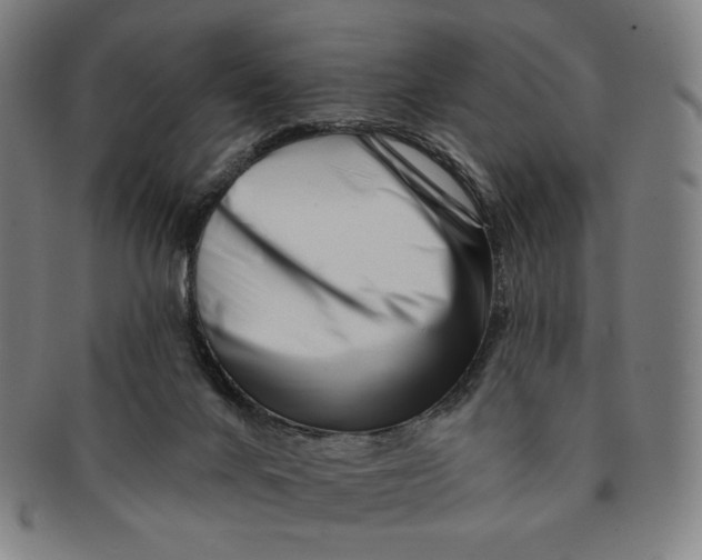 X0000090970024200708301236
