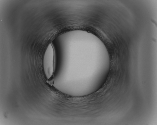 X0000090970025200708301236