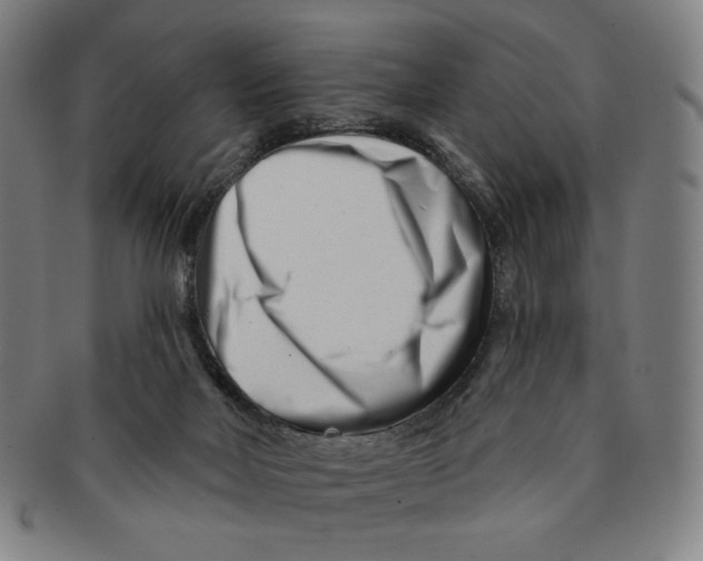 X0000090970026200708301236