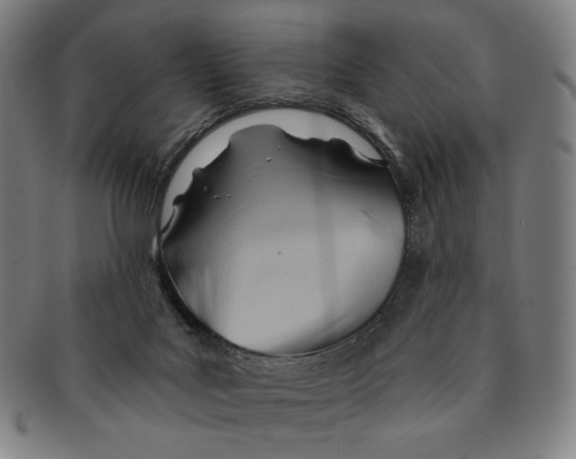 X0000090970027200708301236