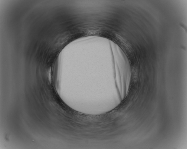 X0000090970028200708301236