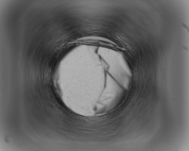 X0000090970030200708301236