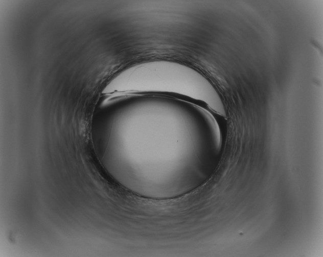 X0000090970031200708301236