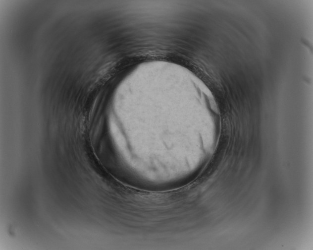 X0000090970032200708301236