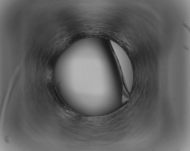 X0000090970033200708301236