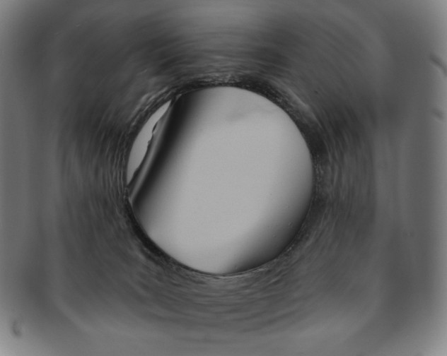 X0000090970035200708301236