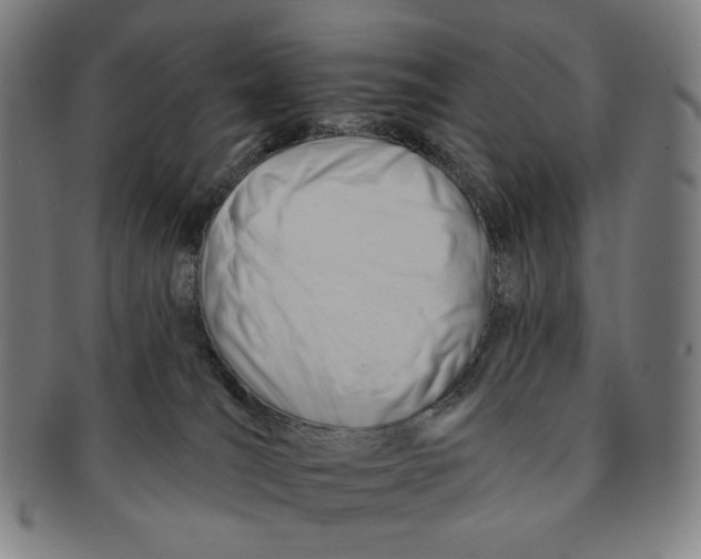 X0000090970036200708301236
