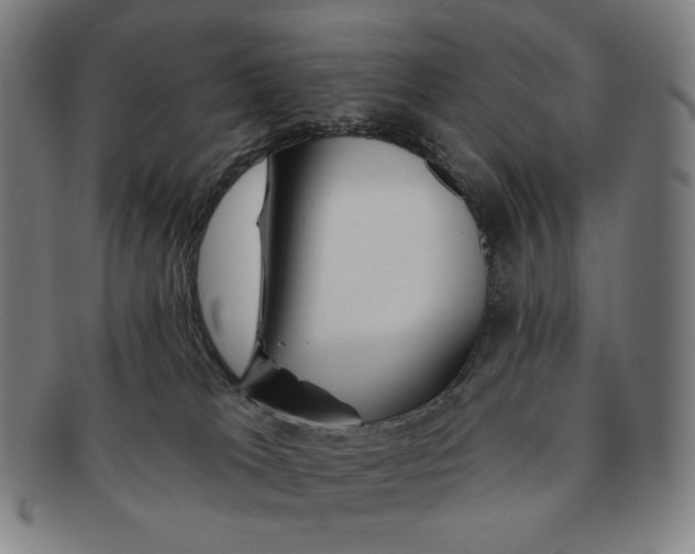 X0000090970037200708301236