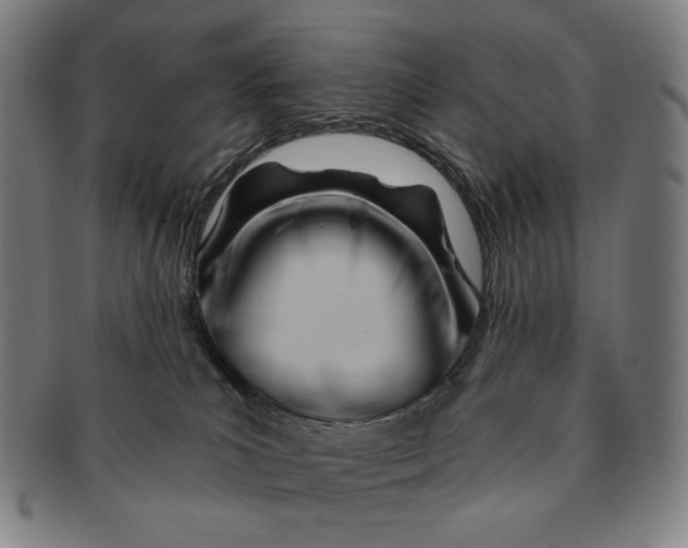 X0000090970039200708301236