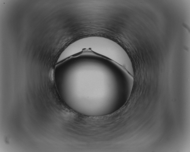 X0000090970041200708301236