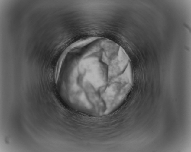 X0000090970043200708301236
