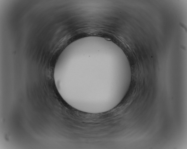 X0000090970044200708301236