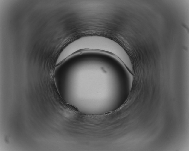 X0000090970045200708301236