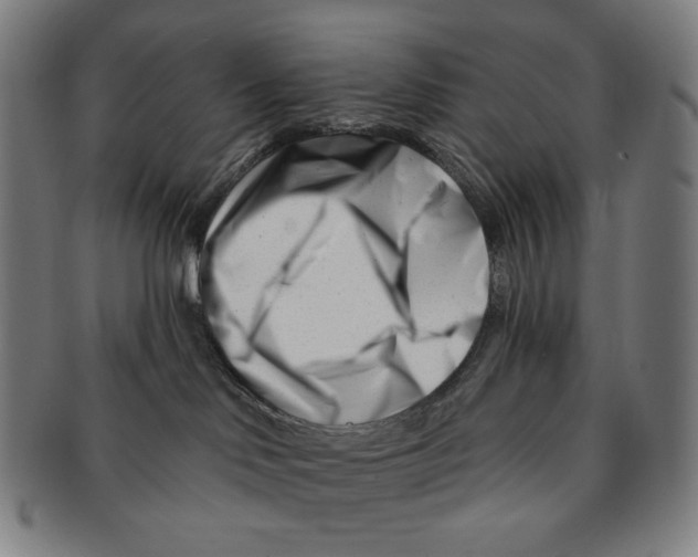 X0000090970046200708301236