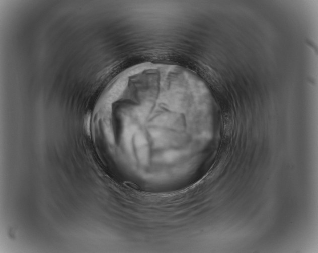X0000090970047200708301236